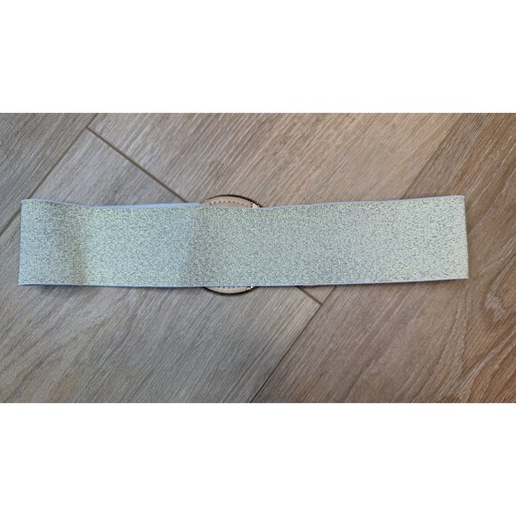 NEW Elastic Wide Corset Safe Waist Belt Metallic Snap Buckle Beige Cinch… - Picture 9 of 12